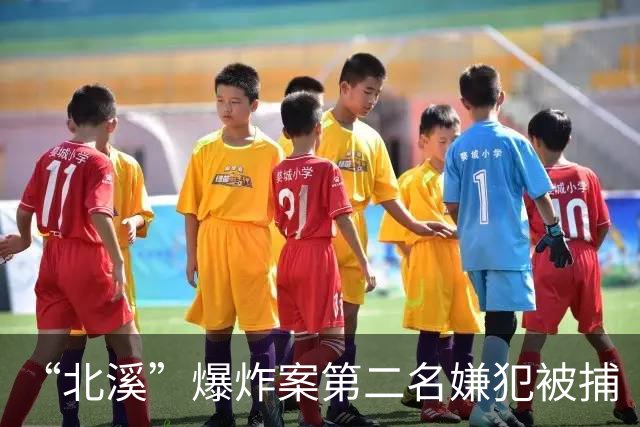 “北溪”爆炸案第二名嫌犯被捕